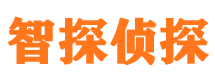 汉滨侦探公司